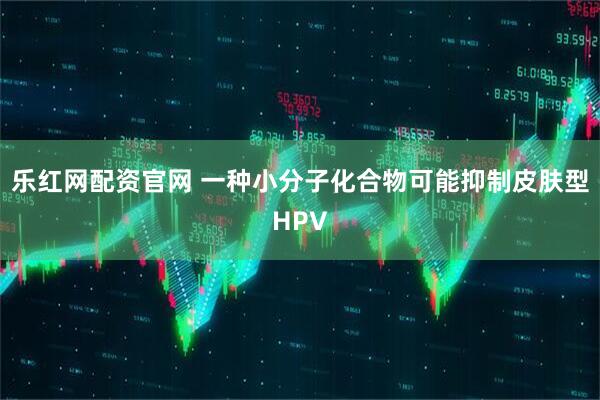 乐红网配资官网 一种小分子化合物可能抑制皮肤型HPV